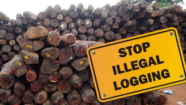 Illegal Logging