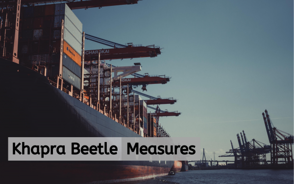 Khapra Beetle Measures on Sea Freight